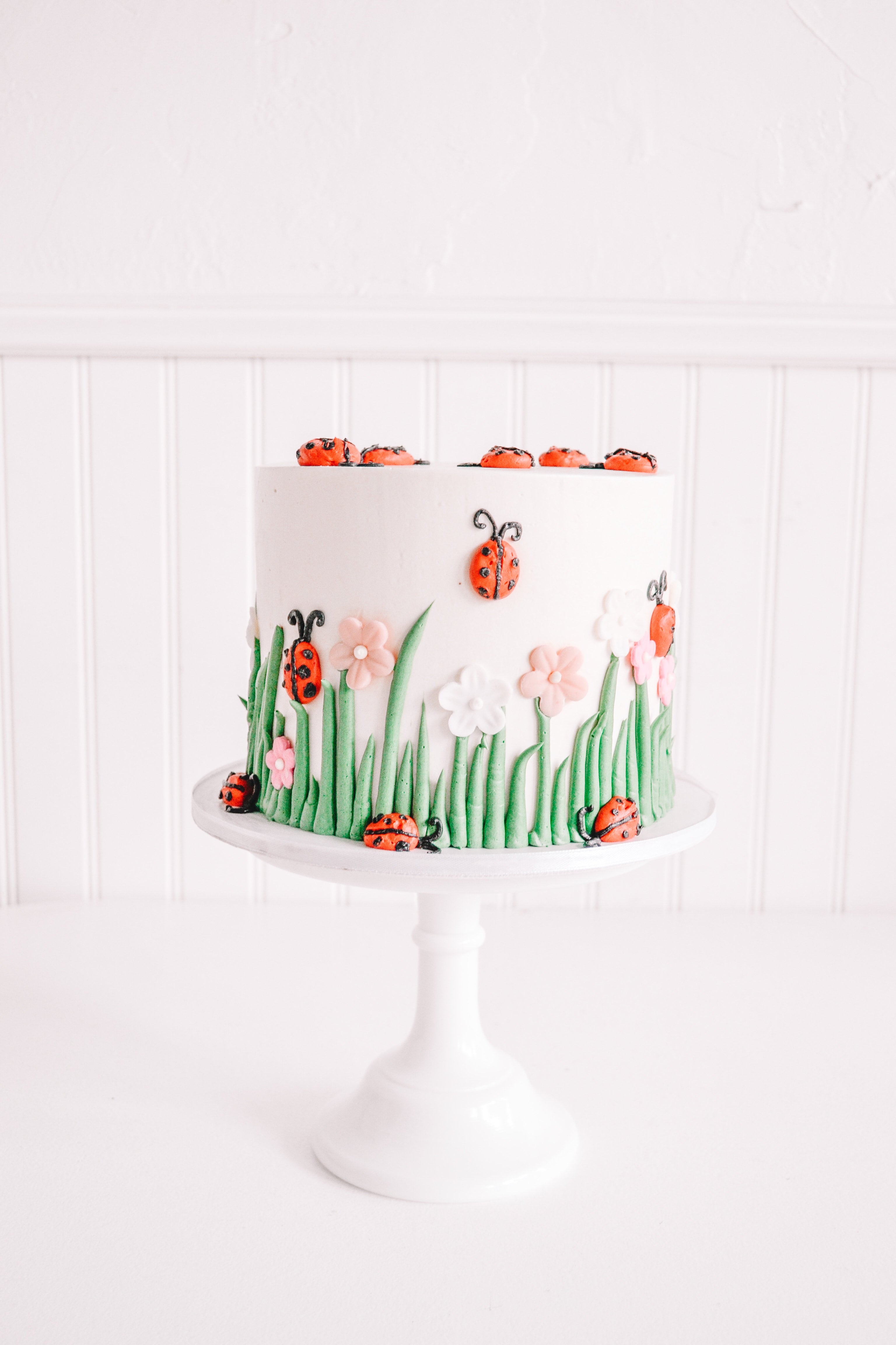 Ladybug Cake - The Perfect Cake for Spring